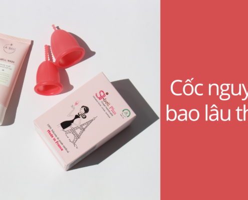 Dùng cốc nguyệt san bao lâu thì thay?