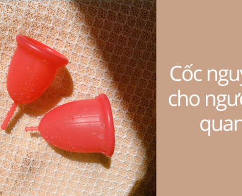 [Tư vấn] Cốc nguyệt san dành cho người chưa quan hệ