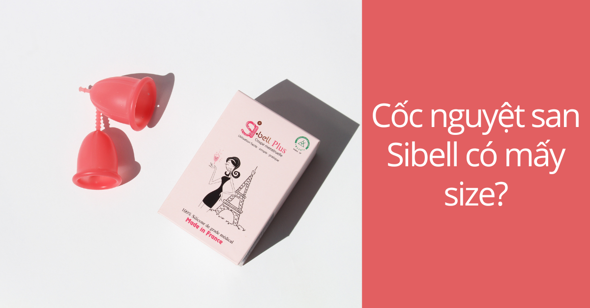Cốc nguyệt san Sibell có mấy size?