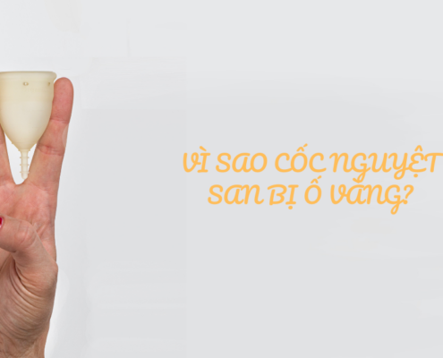 Cốc nguyệt san bị ố vàng