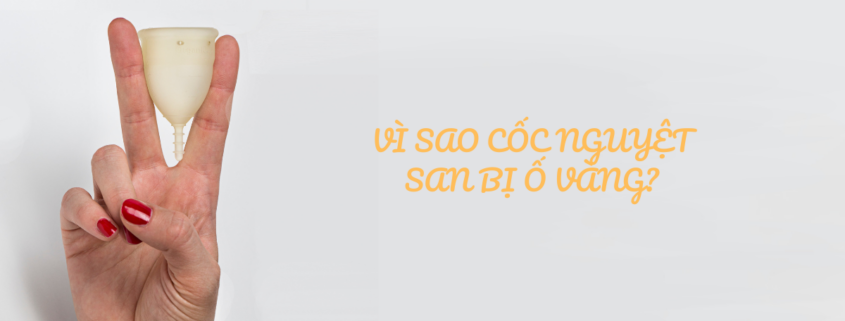Cốc nguyệt san bị ố vàng