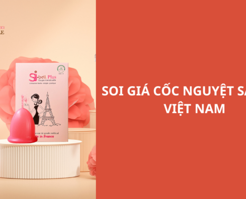 Cốc nguyệt san giá bao nhiêu? Soi giá 10 hãng cốc ở thị trường Việt Nam